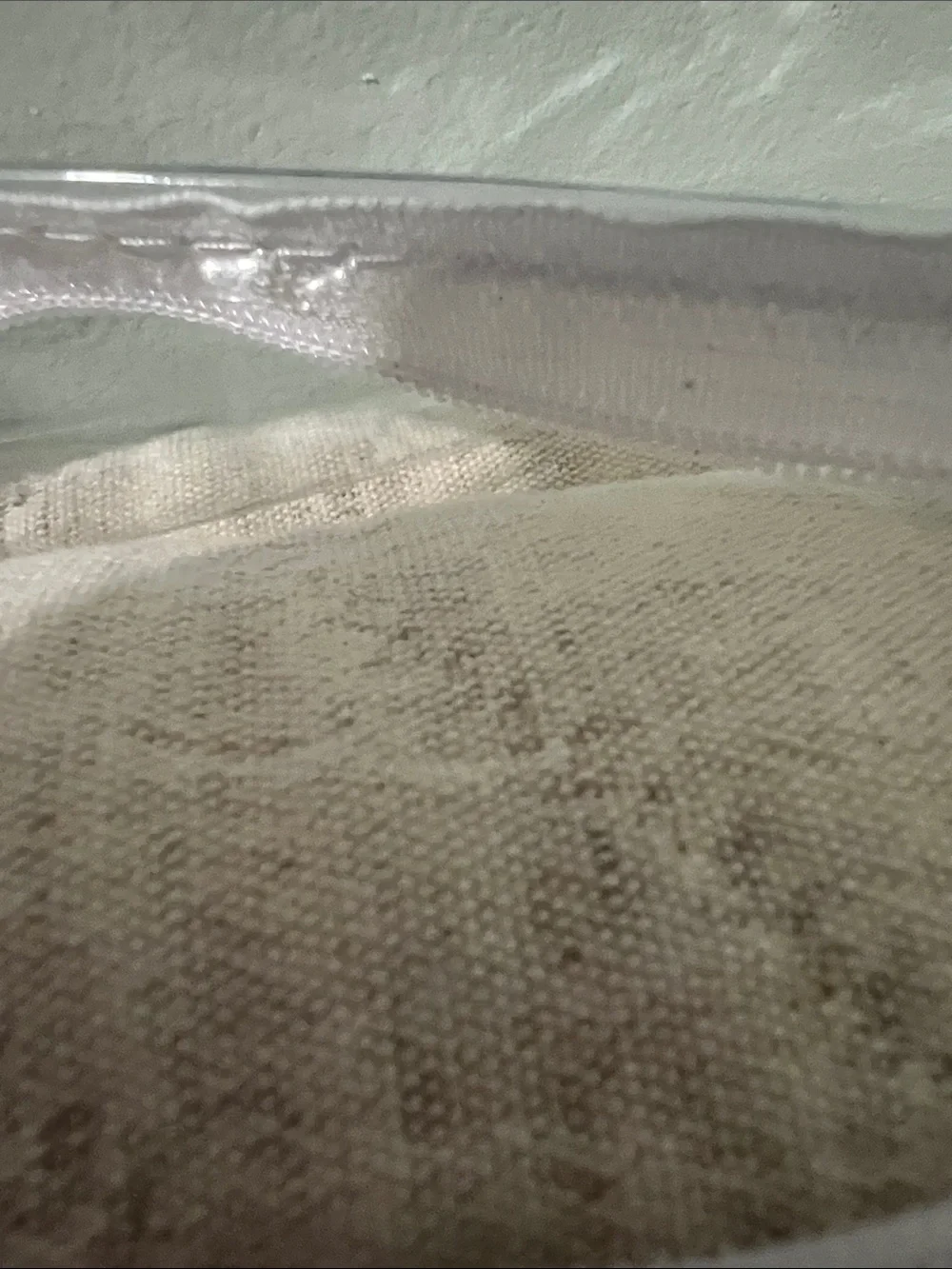 annie selke Birdie Quilted Coverlet in Cream
